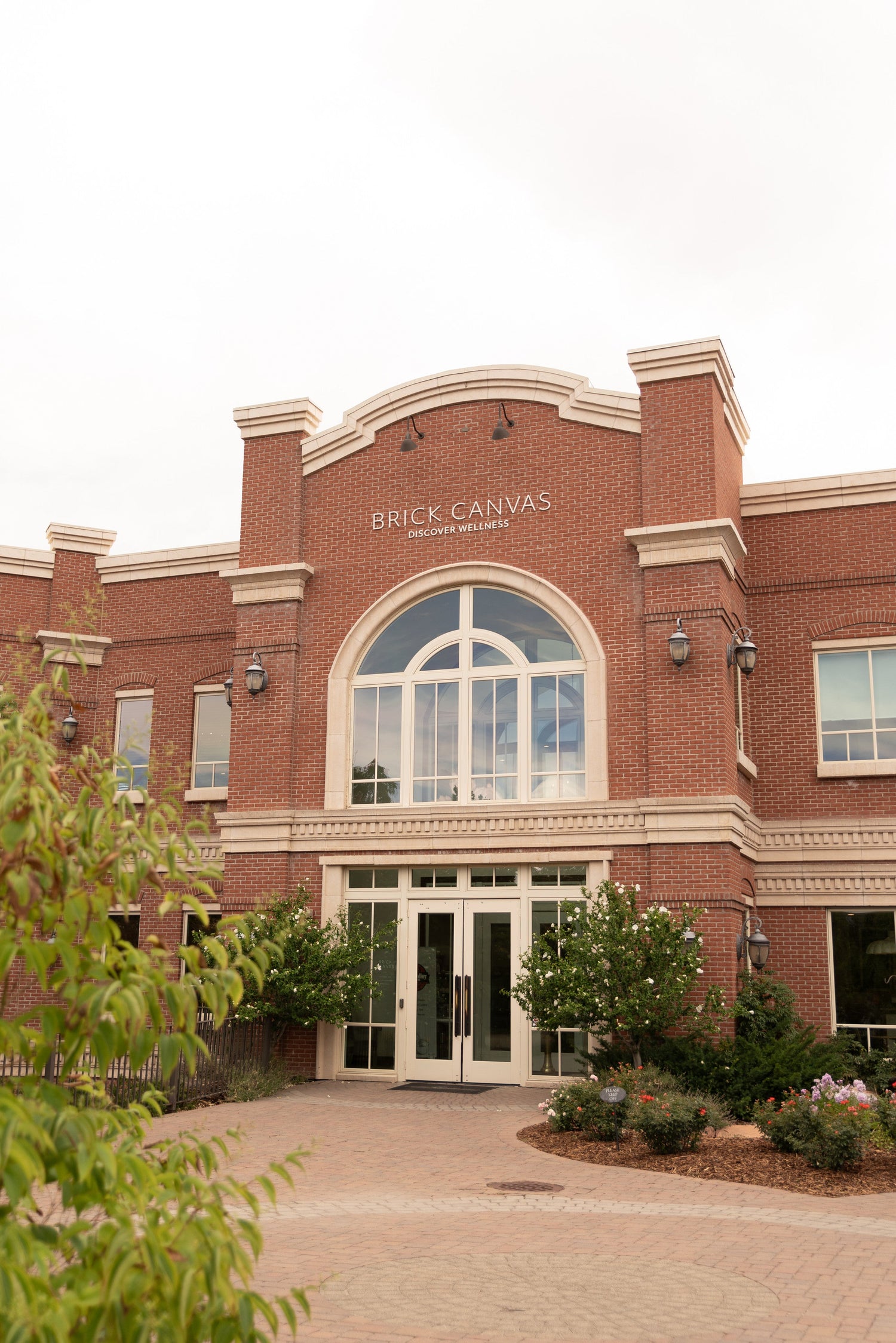 Exclusive Aescape Packages at Brick Canvas